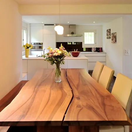 Hoelzerhuette Apartment Arosa